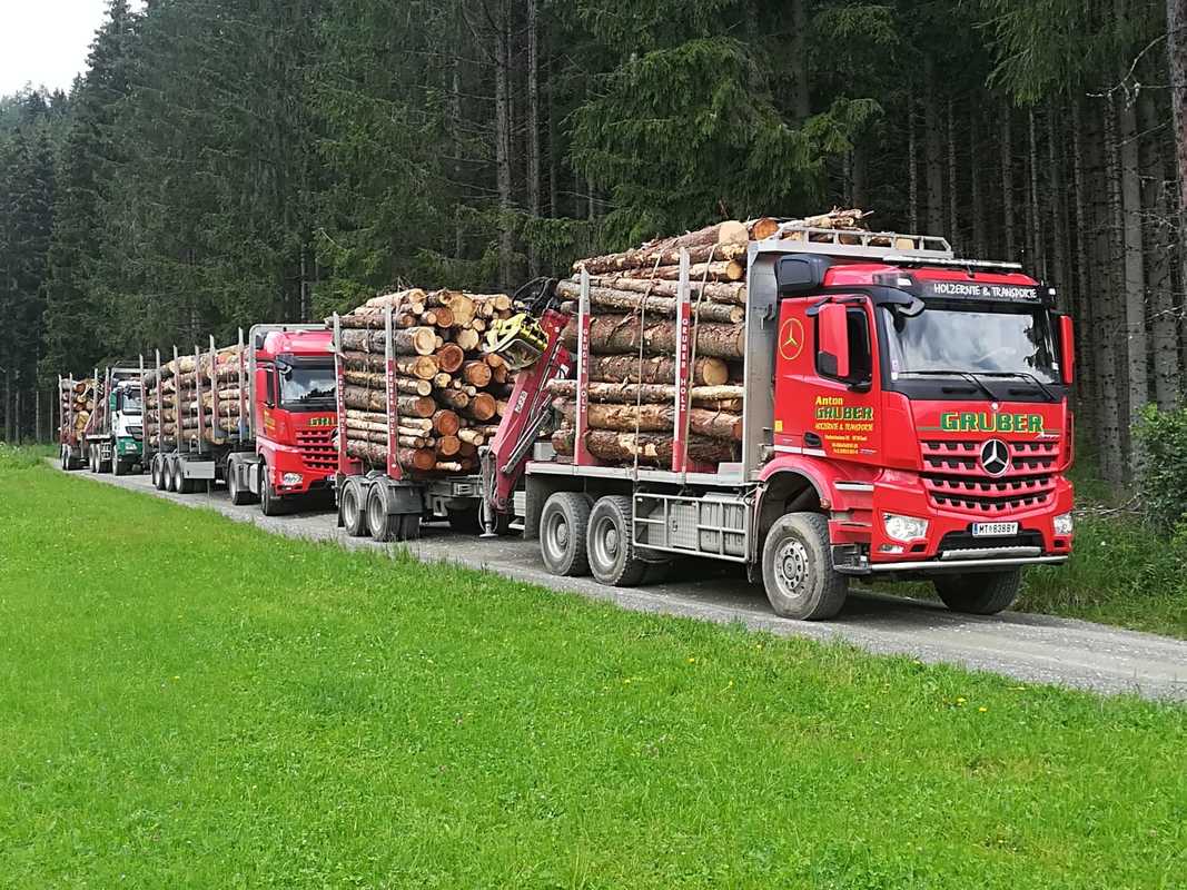 Holztransport